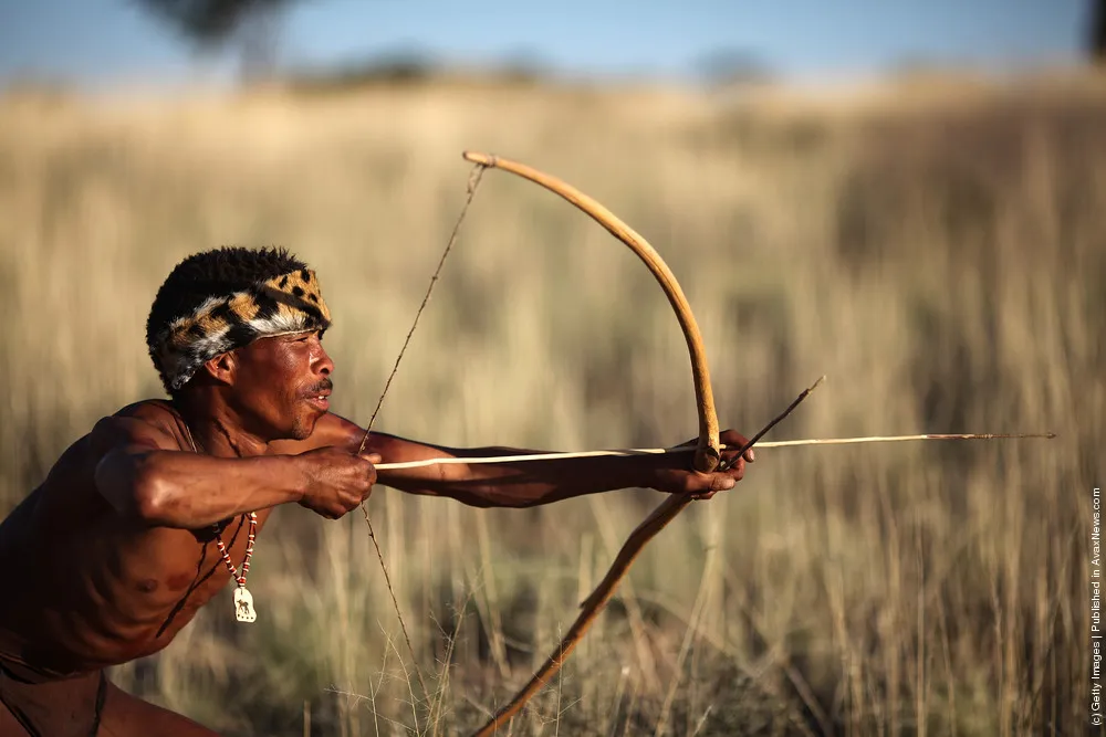 Study Suggests San Bushmen May Be Oldest Population On Earth