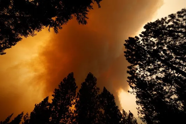 Smoke from the Caldor Fire is seen in Kyburz, California, U.S. August 21, 2021. (Photo by Fred Greaves/Reuters)