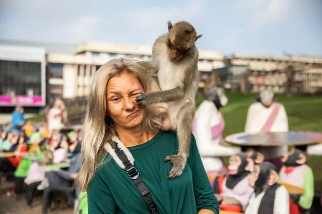 A monkey grabs the face of a tourist during the Lopburi Monkey Festival on November 27, 2022 in Lop Buri, Thailand. Lopburi holds its annual Monkey Festival where local citizens and tourists gather to provide a banquet to the thousands of long-tailed macaques that live in central Lopburi. (Photo by Lauren DeCicca/Getty Images)