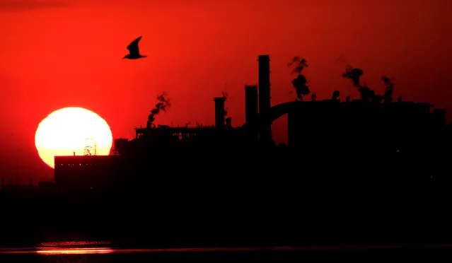 Docks are seen during sunset at the Industrial port of Marghera in the lagoon of Venice,  northern Italy, January 6, 2017. (Photo by Manuel Silvestri/Reuters)