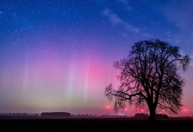 A long-time exposure of about 10 seconds shows a Northern Light (Aurora borealis) in the night sky, near Lietzen, Brandenburg, Germany 06 March 2016. (Photo by Patrick Pleul/EPA)