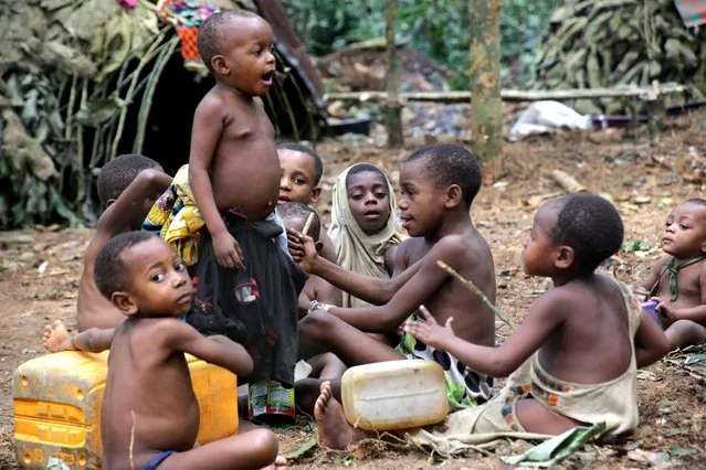 Ba'aka pygmies in their forest home, February 2016. Small children gleefully mimic the traditions of their community. Here they are enacting the daily hunting ceremony and have summoned up the leaf-cloaked forest spirit, Bobe'e. (Photo by Susan Schulman/Barcroft Images)