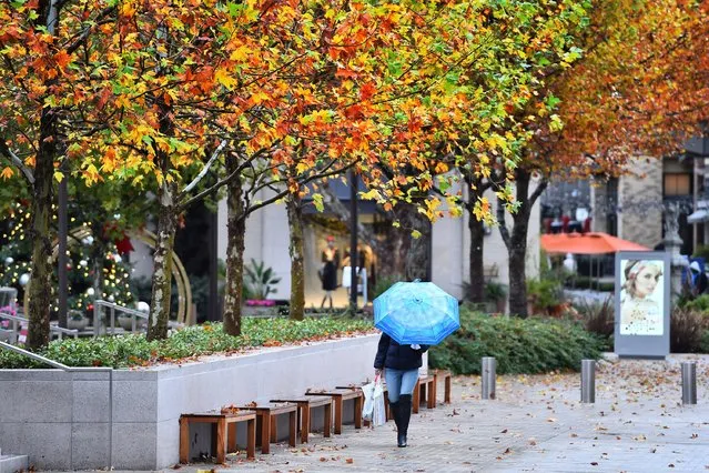 A shopper shields herself from the rain while at Broadway Plaza in Walnut Creek, Calif., Monday, December 13, 2021. Winter arrived early in Northern California with wind, rain and snow that was expected to intensify Monday as forecasters warned that mountain passes will probably be closed to traffic and areas burned by wildfires could face rockslides and mudslides following an especially warm and dry fall across the U.S. West. (Photo by Jose Carlos Fajardo/Bay Area News Group via AP Photo)
