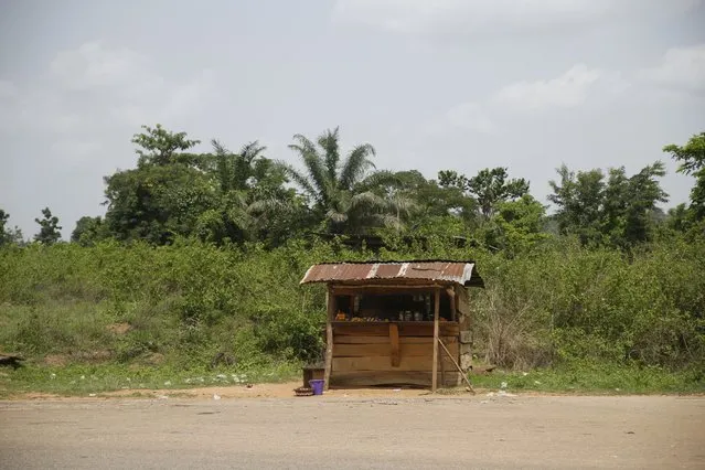 A lone shed is seen along a road leading to a cocoa farm in Ile-Oluji village in Ondo state, southwest Nigeria March 29, 2016. (Photo by Akintunde Akinleye/Reuters)