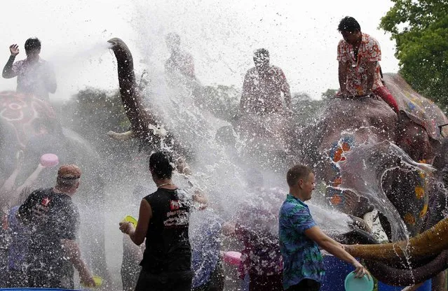 Elephants spray water at tourists in celebration of the Songkran water festival in Thailand's Ayutthaya province, April 9, 2014. (Photo by Chaiwat Subprasom/Reuters)