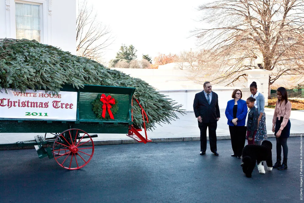 Michelle Obama Receives The Official White House Christmas Tree