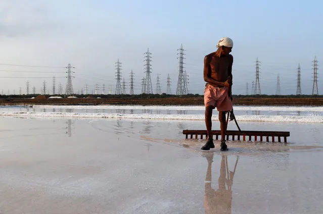 A labourer works on a salt pan on a hot summer morning in Mumbai, India, May 11, 2016. (Photo by Danish Siddiqui/Reuters)