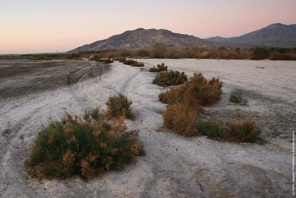 Environmentalists Challenge Salton Sea Development Project