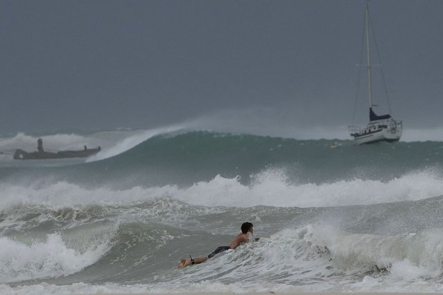 A surfer braves the waves in Carlisle Bay as Hurricane Beryl passes through Bridgetown, Barbados, Monday, July 1, 2024. (Photo by Ricardo Mazalan/AP Photo)