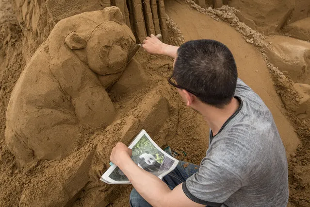 Sand sculptor Shao Jianxin of China works on sculpting a Panda at the site of Yokohama Sand Art Exhibition – Culture City of East Asia 2014 on July 16, 2014 in Yokohama, Japan. Producer and sand sculptor Katsuhiko Chaen invited artists from around the world including South Korea and China, to recreate the World Heritage and historical buildings in China, Japan and South Korea. The exhibition will be open from July 19 to November 3, 2014. (Photo by Chris McGrath/Getty Images)