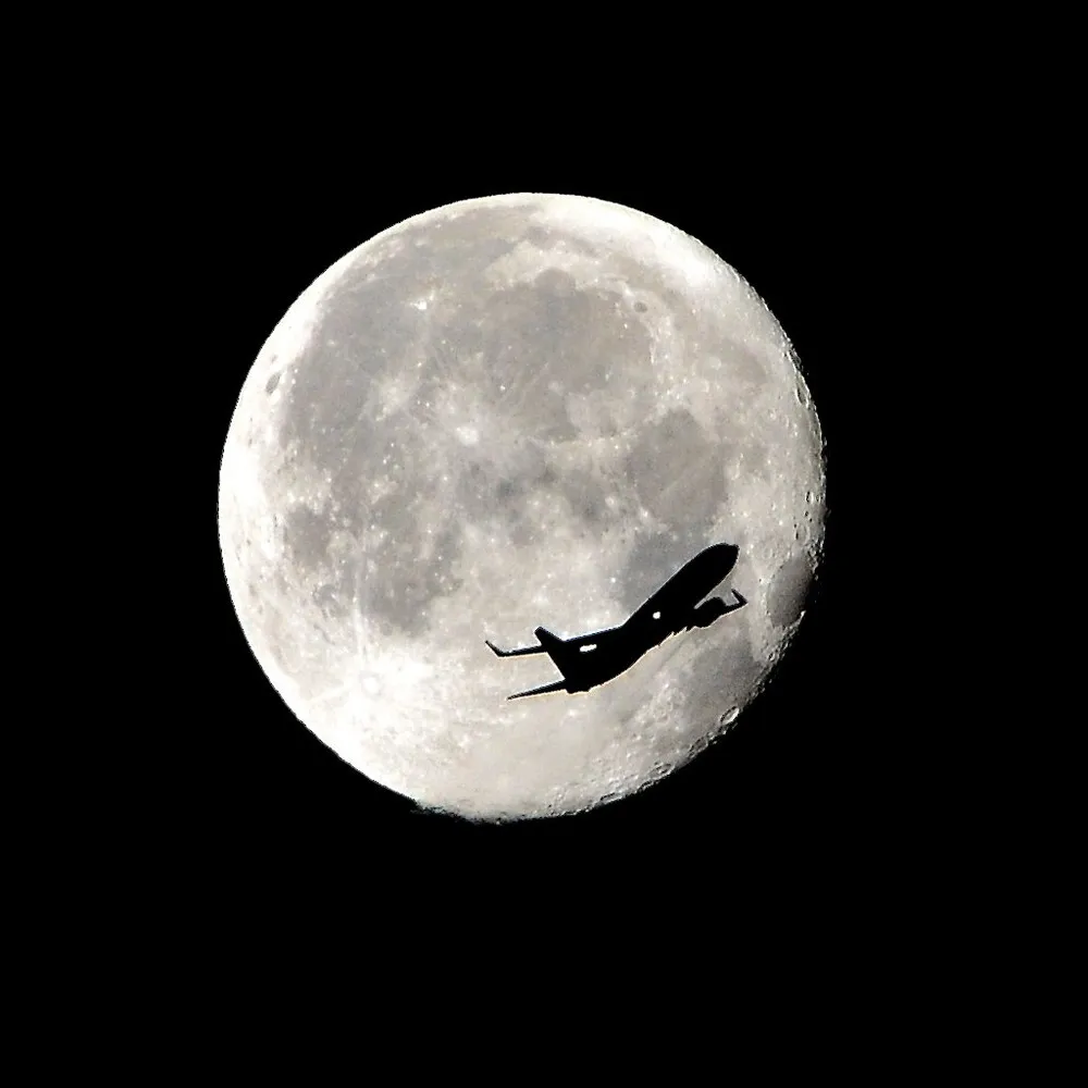 Fly Me To The Moon...