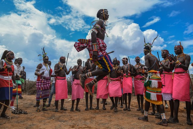 Local people perform cultural dances with traditional clothing and jewelry in the Cultural Festival of the Maa community in the Samburu National Reserve in Samburu, Kenya on November 07, 2024. The tribes living in the Samburu region of northern Kenya are one of the few tribes to keep their traditions alive. One of the most important parts of the Sambura tribe's survival is their livestock, which includes cattle, sheep, goats and camels. (Photo by Gerald Anderson/Anadolu via Getty Images)