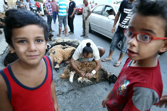 A Libyan man slaughters a sheep while children look on, as part of the commemoration for the first day of Eid al-Adha, or the Festival of Sacrifice, in the eastern city of Benghazi on September 1, 2017. (Photo by Abdullah Doma/AFP Photo)