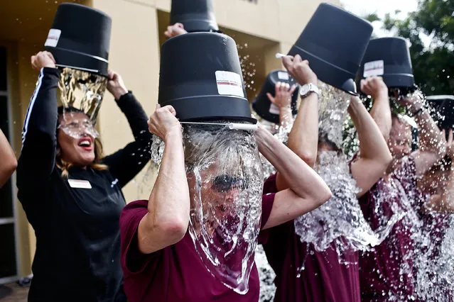 Debbie Wallace, center, dumps a bucket of ice water on her head along with her coworkers as they participate in an Ice Bucket Challenge at the Woodruff Institute in Naples, FL on Tuesday, August 19, 2014. Wallace, a physician assistant at Woodruff, lost her brother Chester to ALS two weeks before and challenged her coworkers in the challenge. (Photo by Scott McIntyre/AP Photo/Naples Daily News)