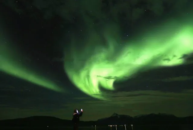 A tourist takes photos of an Aurora Borealis (Northern Lights) over the Bals-Fiord north of the Arctic Circle, near the village of Mestervik late September 30, 2014. (Photo by Yannis Behrakis/Reuters)