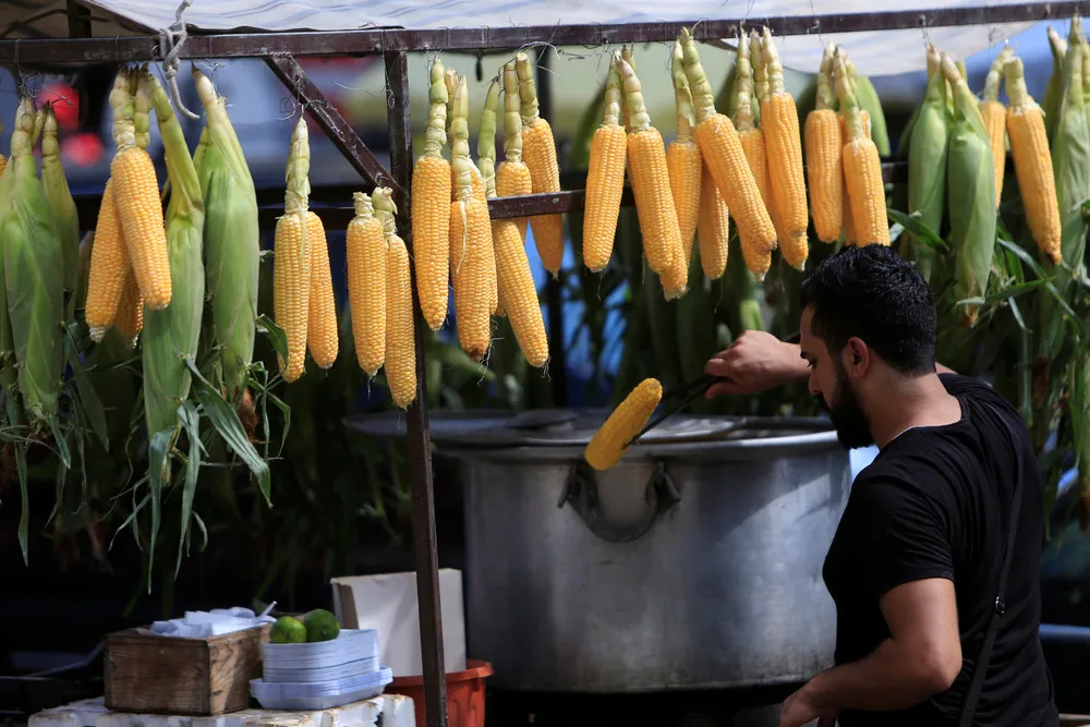 Muslims this Week, Part 1/2