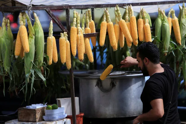 A man sells corn prior to Eid celebrations in Sidon, South Lebanon September 11, 2016. (Photo by Ali Hashisho/Reuters)
