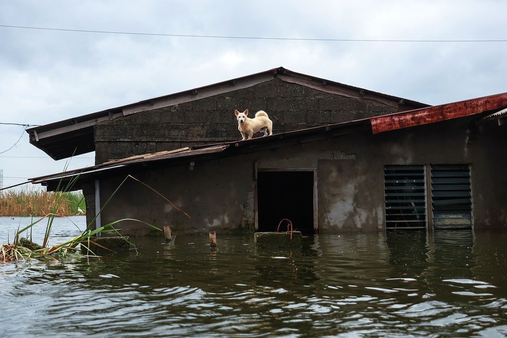 Philippine Daily Life