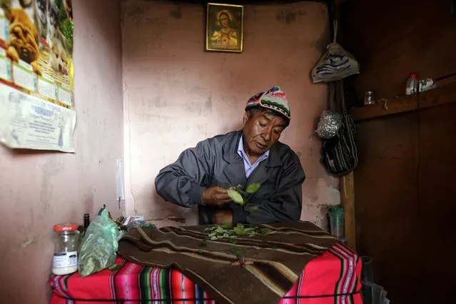 Aymara witchdoctor Ricardo Quispe, also called “Lord of the Lake”, throws coca leaves during a ritual to predict the future, at the witches market of El Alto, on the outskirts of La Paz, December 31, 2014. Dozens of witch doctors tend to a warren of stalls in El Alto, making offerings to give thanks, to promise luck at work or in love, or to call up spirits and banish curses at the end of the year. (Photo by David Mercado/Reuters)