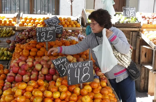 A woman buys fruits in a street market in downtown Montevideo, Uruguay November 6, 2015. (Photo by Andres Stapff/Reuters)