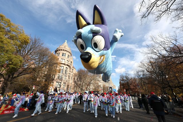 Bluey balloon during the 2025 Macy's Thanksgiving Day Parade on November 27, 2025 in New York City. (Photo by Kevin Mazur/Getty Images)
