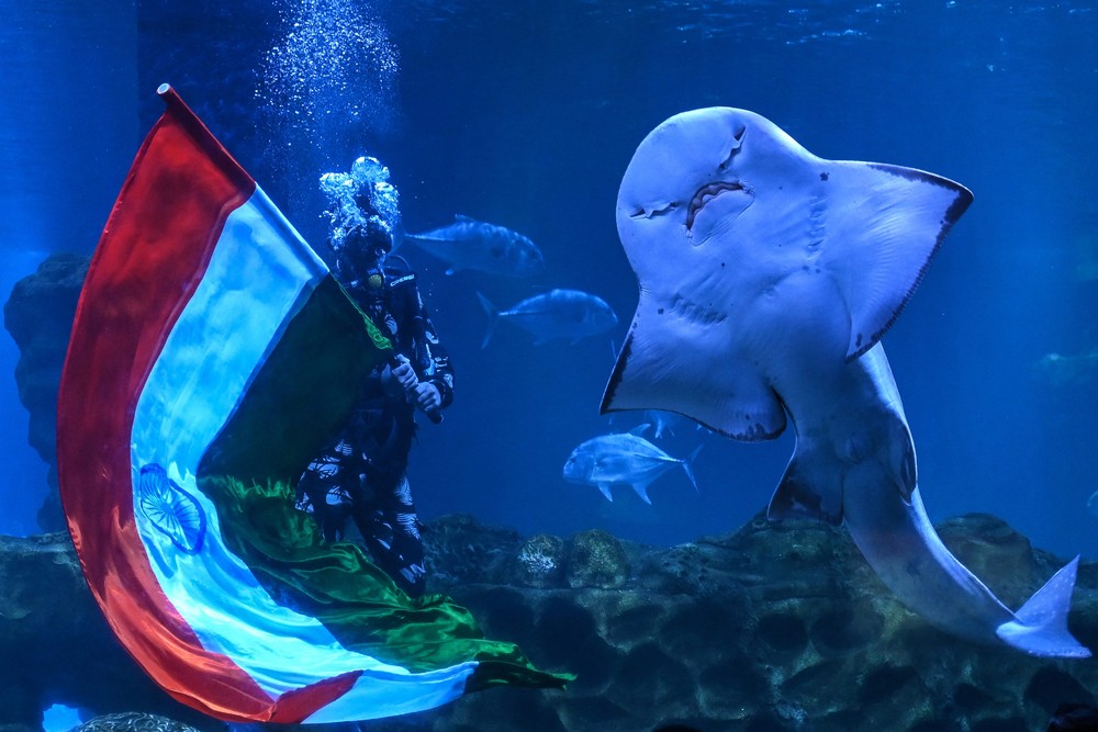 Pictures of the Year 2024, Part 153/240