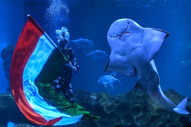 A scuba diver displays India's national flag at a marine aquarium on the eve of the country's Independence Day celebrations in Chennai on August 14, 2024. (Photo by R.Satish Babu/AFP Photo)