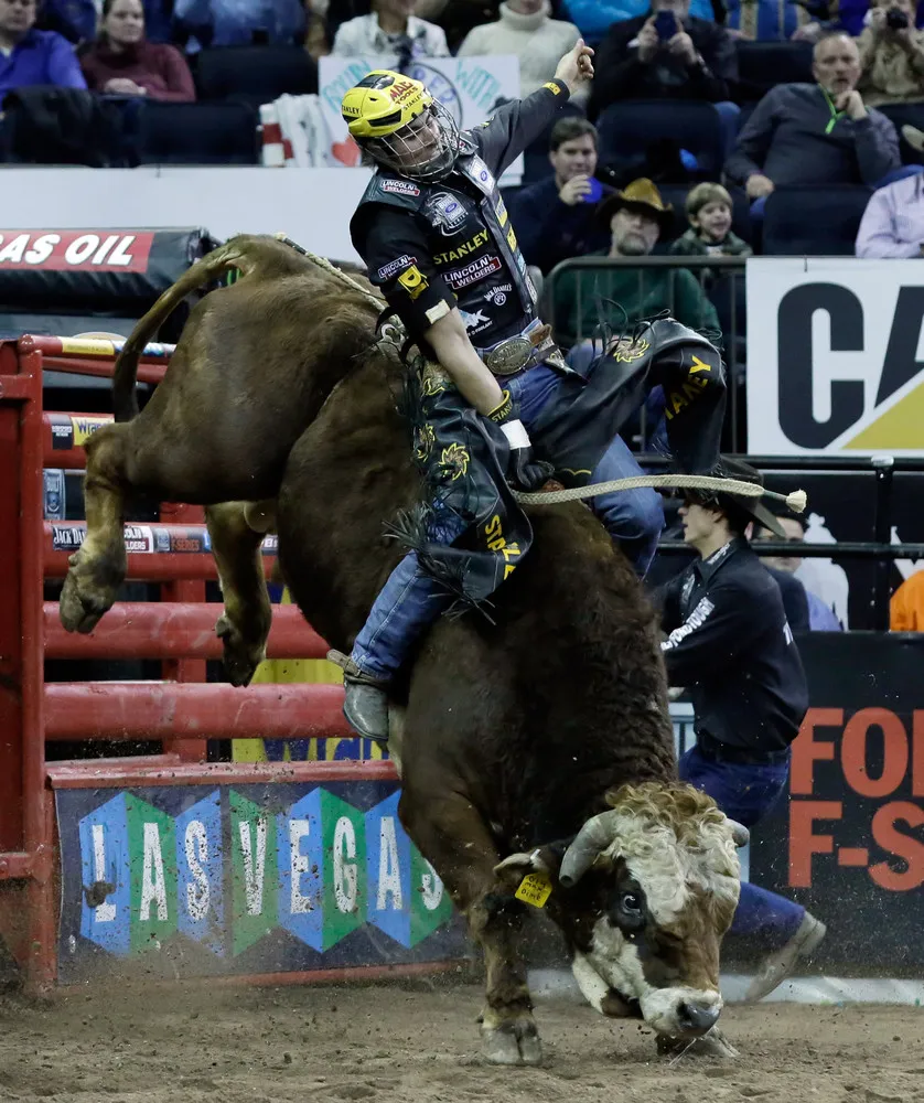 The Professional Bull Riders Buck Off