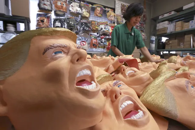 A worker prepares the final touches on rubber masks depicting President-elect Donald Trump at the Ogawa Studio in Saitama, north of Tokyo, Tuesday, November 15, 2016. Ogawa Studio, the only manufacturer of rubber masks in Japan, is working non-stop to catch up with a flood of orders for Trump masks since his election victory one week ago. The 23 staff are trying to produce 350 likenesses of Trump a day, up from 45 before the U.S. election, factory executive manager Takahiro Yagihara said Tuesday. (Photo by Eugene Hoshiko/AP Photo)