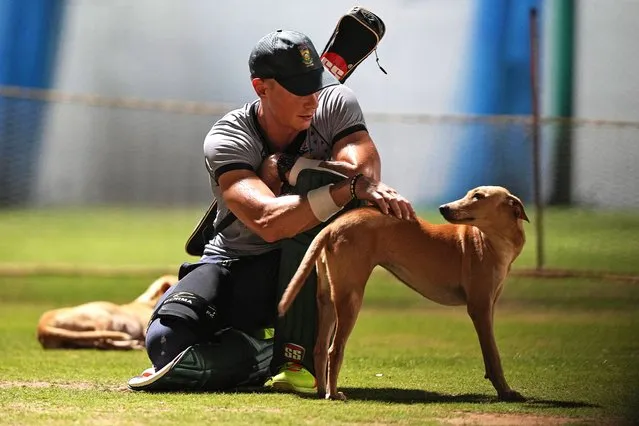 South Africa's Rassie Van Der Dussen pets a dog during a practice session ahead of their ICC Men's Cricket World Cup match against Pakistan in Chennai, India, Thursday, October 26, 2023. (Photo by Mahesh Kumar A./AP Photo)