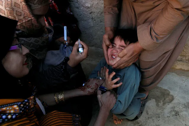 A boy reacts as he is being administered polio vaccine drops by anti-polio vaccination workers along a street in Quetta, Pakistan January 2, 2017. (Photo by Naseer Ahmed/Reuters)