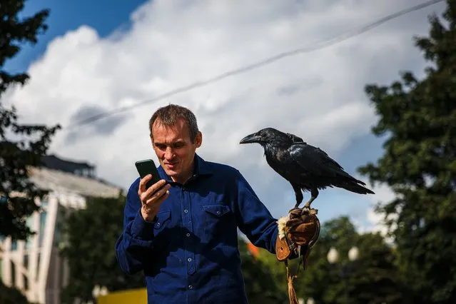 A man looks at his phone while walking with his raven in downtown Moscow on August 24, 2021. (Photo by Dimitar Dilkoff/AFP Photo)