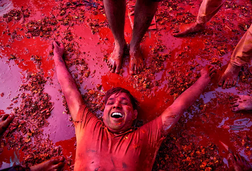 Colours of Holi 2019