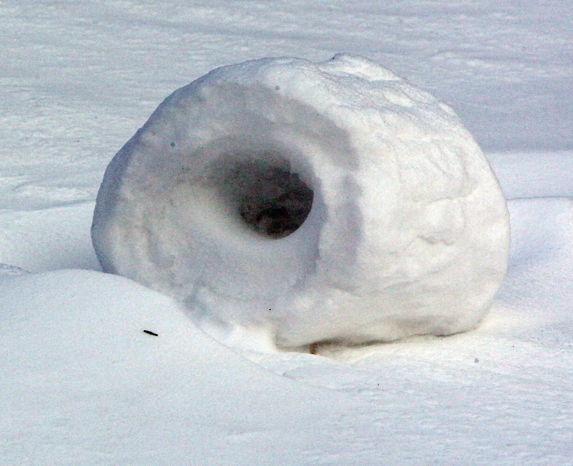Сугроб из снега 4 буквы