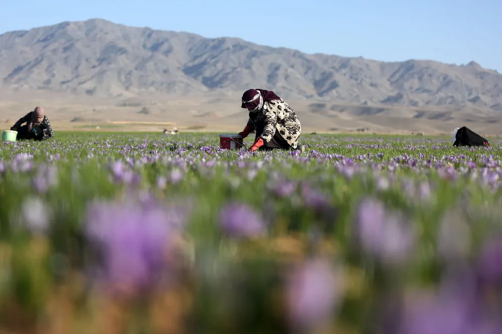 A Look at Life in Iran