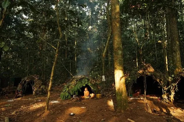 Houses of Baka tribes people, in Dzanga-Sangha Reserve, Central African Republic, February 2016. (Photo by Susan Schulman/Barcroft Images)