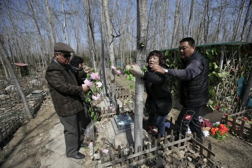 Pet Cemetery in China