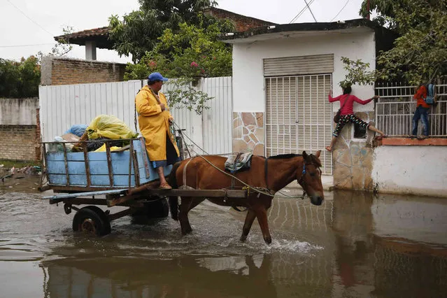 Children climb a wall to leave their home to go church for a catechism class, as a man drives a horse cart to collect domestic trash, at the Tacumbu neighborhood in Asuncion, Paraguay, Saturday, May 11, 2019. The Paraguay River's normal stage is 4 meters (13 feet), but it has reached 6.75 meters (22 feet) in the capital due to unusually heavy rains since March. (Photo by Jorge Saenz/AP Photo)