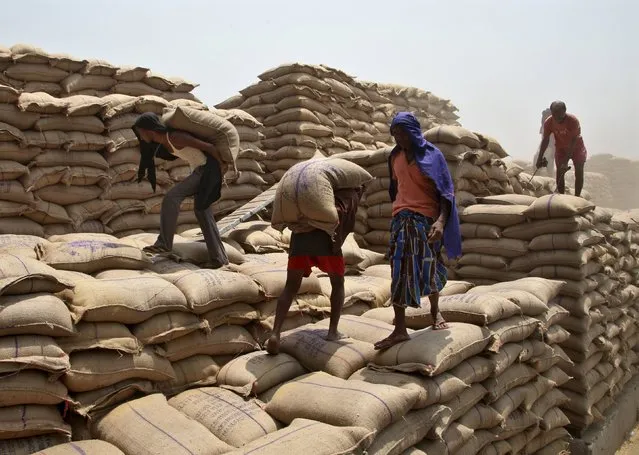Labourers unload sacks filled with wheat from a truck at the Punjab State Civil Supplies Corporation Limited (PUNSUP) godown at a wholesale grain market in Punjab, India, May 6, 2015. (Photo by Ajay Verma/Reuters)