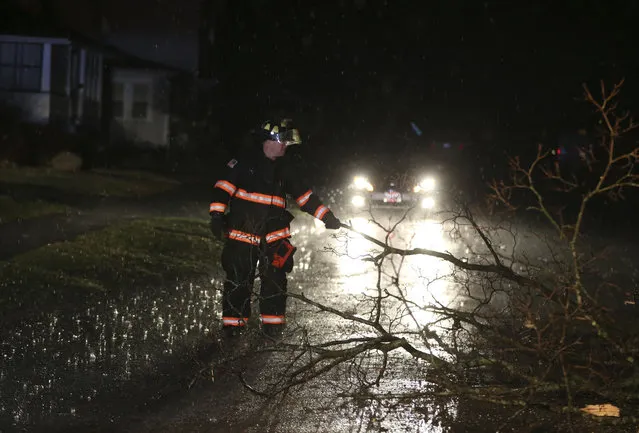 A firefighter removes fallen tree branches from the road in Ottawa, Ill., on Tuesday, February 28, 2017. Tornadoes touched down in the upper Midwest and northern Arkansas on Tuesday, in a spring-like storm system. (Photo by Nuccio DiNuzzo/Chicago Tribune via AP Photo)