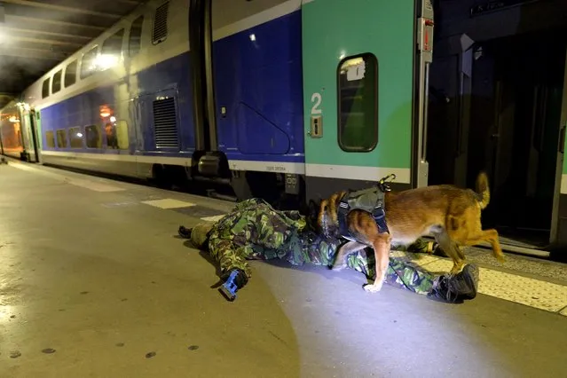 Duncan, one of the dogs, and a member of the National Gendarmerie Intervention Group (GIGN) are pictured during a training exercise in the event of a terrorist attack in collaboration with Recherche Assistance Intervention Dissuasion (RAID) and Research and Intervention Brigades (BRI) in presence of the French Interior minister Bernard Cazeneuve at la Gare Montparnasse, in Paris on April 20, 2016. (Photo by Miguel Medina/Reuters)
