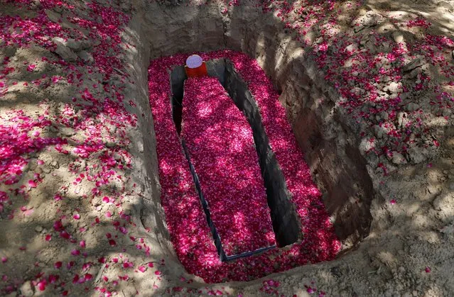 Rose petals are spread around the grave and coffin of Father Rolfie D'Souza's who died of COVID-19, at a cemetery in Prayagraj, India, Saturday, May 15, 2021. India's Prime Minister Narendra Modi on Friday warned people to take extra precautions as the virus was spreading fast in rural areas. (Photo by Rajesh Kumar Singh/AP Photo)