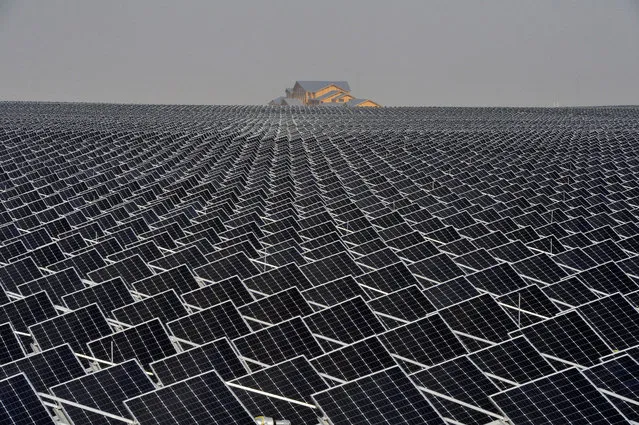 Solar panels are seen in Yinchuan, Ningxia Hui Autonomous Region, China April 18, 2017. (Photo by Reuters/Stringer)