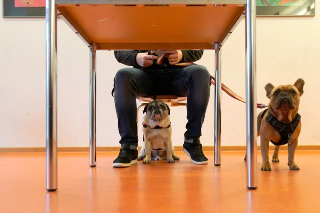 A man with dogs casts his ballot during the Thuringia state elections, at a polling station in Erfurt, Thuringia, Germany, 27 October 2019. According to the Statistical Office of Thuringia some 1.73 million people are eligible to vote in the regional elections for a new parliament in the German federal state. (Photo by Ronald Wittek/EPA/EFE)