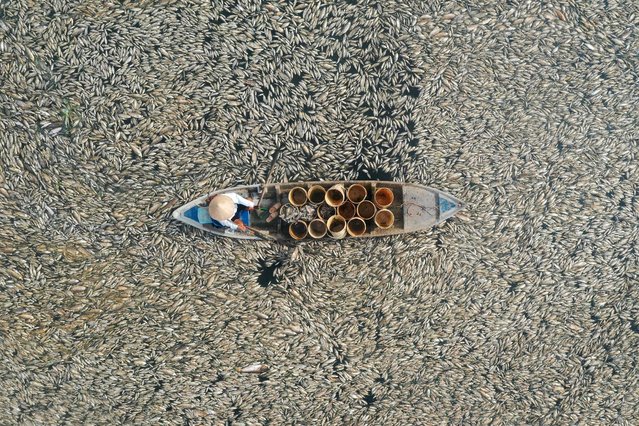 This aerial photo shows a fisherman collecting dead fish caused by renovation works and the ongoing hot weather conditions from a reservoir in southern Vietnam's Dong Nai province on April 30, 2024. Hundreds of thousands of fish have died in a reservoir in southern Vietnam's Dong Nai province, with locals and media reports suggesting the brutal heatwave and lake's management are to blame. (Photo by AFP Photo/Stringer)