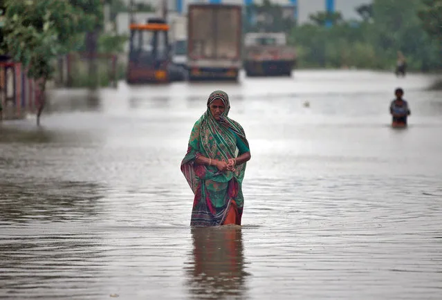 A woman wades through a road flooded by heavy rain in Ahmedabad, July 24, 2017. (Photo by Amit Dave/Reuters)