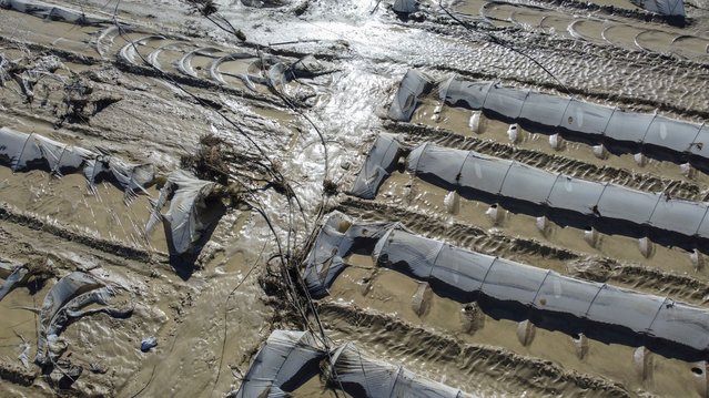 A drone view shows flooded fields following heavy rainfalls in the Sicilian town of Licata, Italy, on October 20, 2024. (Photo by Danilo Arnone/Reuters)