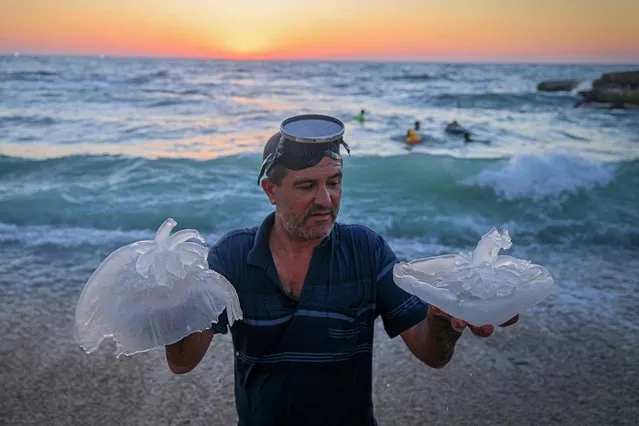 A Palestinian man holds jellyfish at the beach in Gaza City on July 28, 2022. (Photo by Mohammed Abed/AFP Photo)