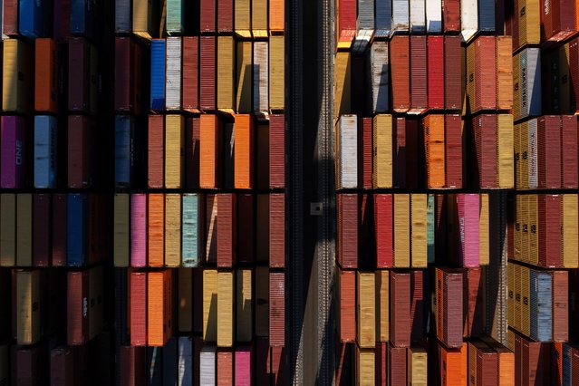Shipping containers wait to be processed at London Gateway port, operated by DP World Plc on November 26, 2024 in Stanford-le-Hope, England. DP World, owner and operator of the London Gateway deep water port, has launched operations of an all-electric fourth berth, expanding the port's capacity and creating 200 permanent jobs. In October, DP World confirmed a £1 billion investment plan into expanding the logistics hub on the Thames River with the development of an additional two berths, which would make London Gateway Britain's largest container port within the next five years. (Photo by Dan Kitwood/Getty Images)