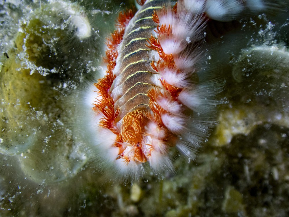 Some Photos: Waterworld